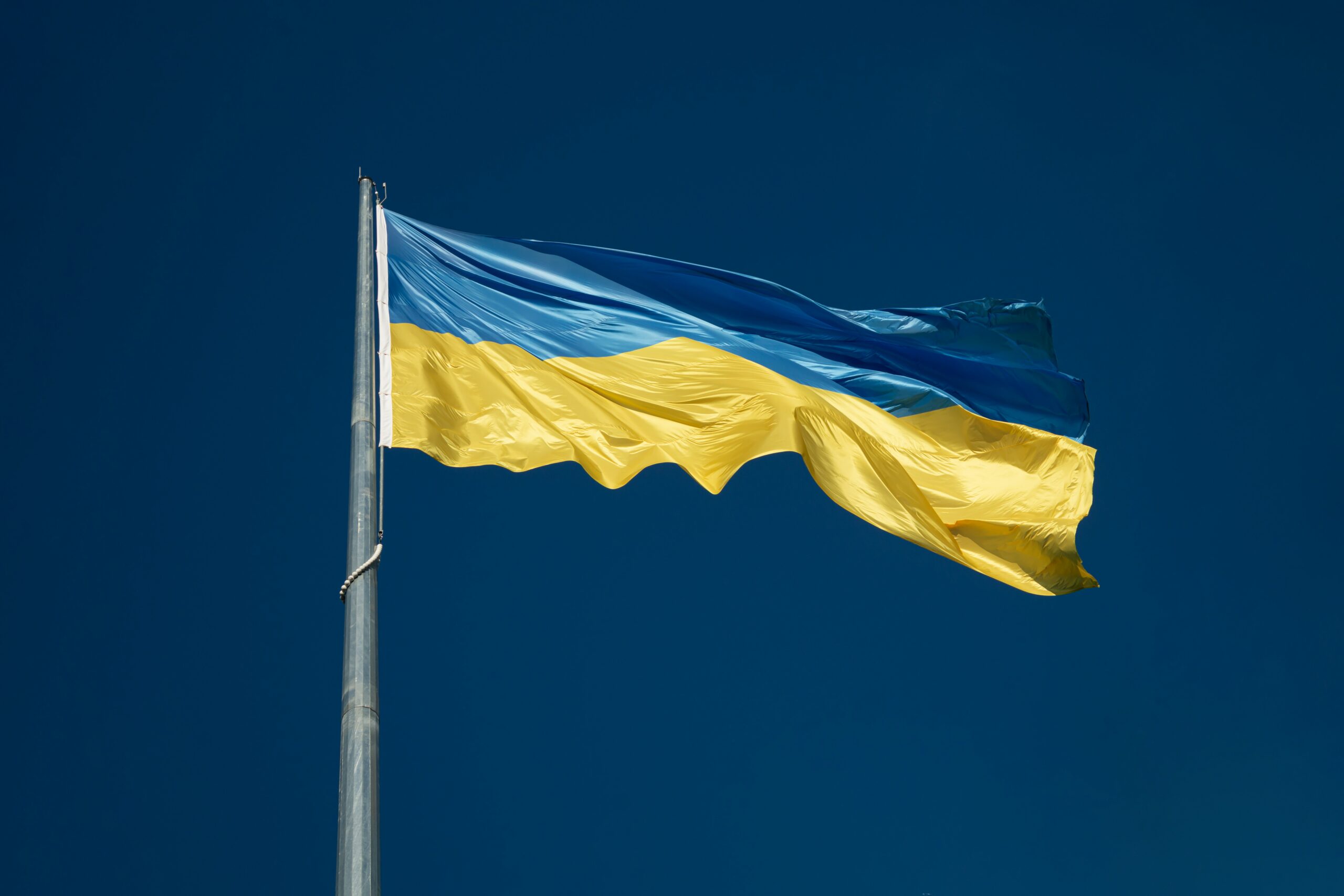 Flaga Ukrainy na wietrze