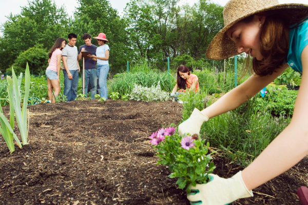 Konsultacje w Miejscu Otwartym