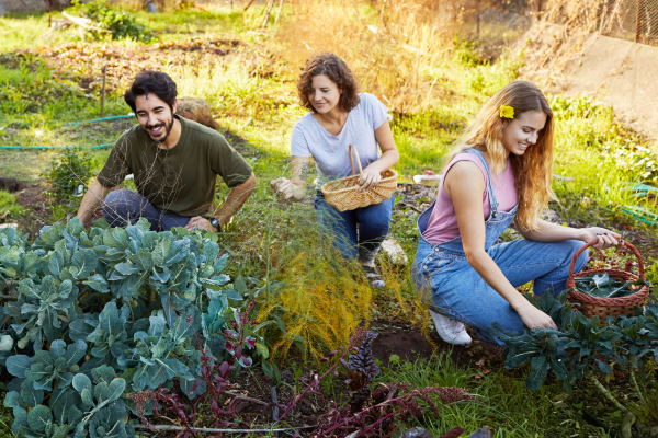Dołącz do konsultacji Ogrodu Społecznego na os. Szkolnym