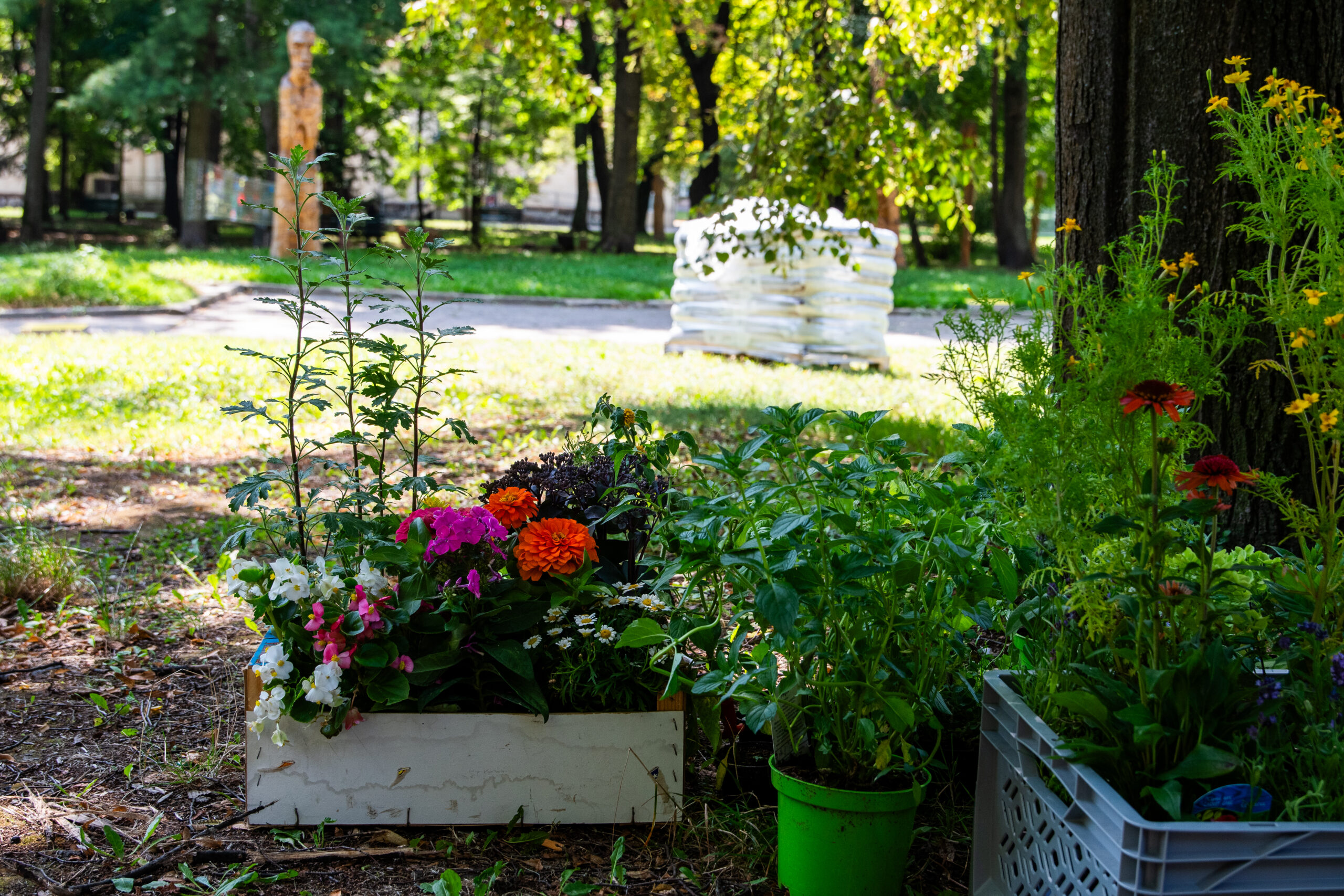 Zabawy z nagrodami – Rozzieleńmy się!