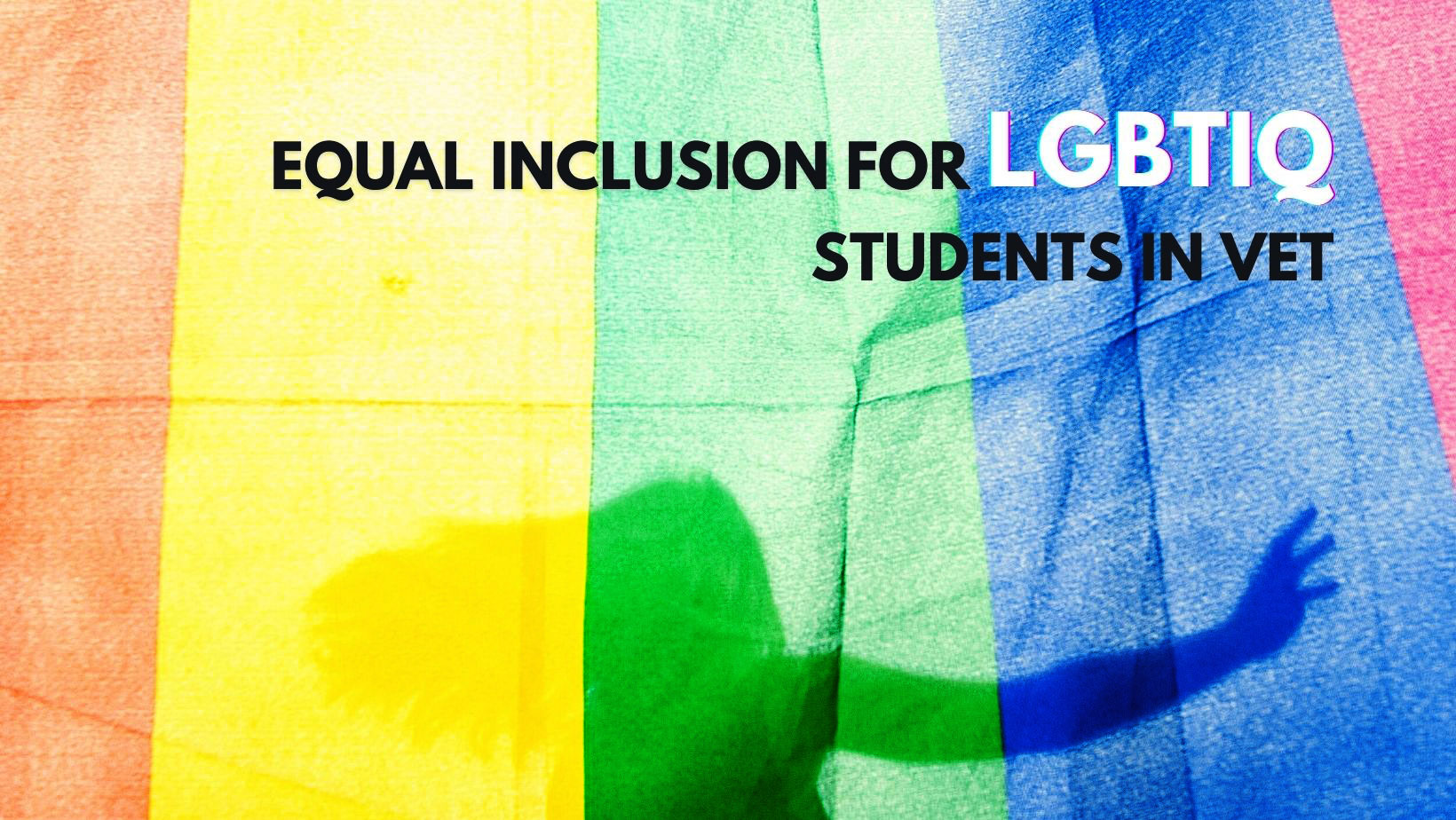 Równe włączenie studentów LGBTIQ w kształcenie i szkolenie zawodowe – UNIQUE