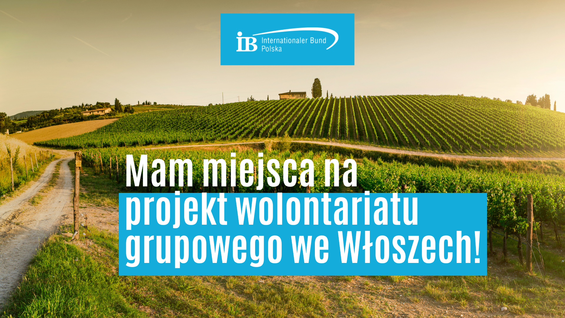 Szukamy wolontariuszy do projektu wolontariatu grupowego!