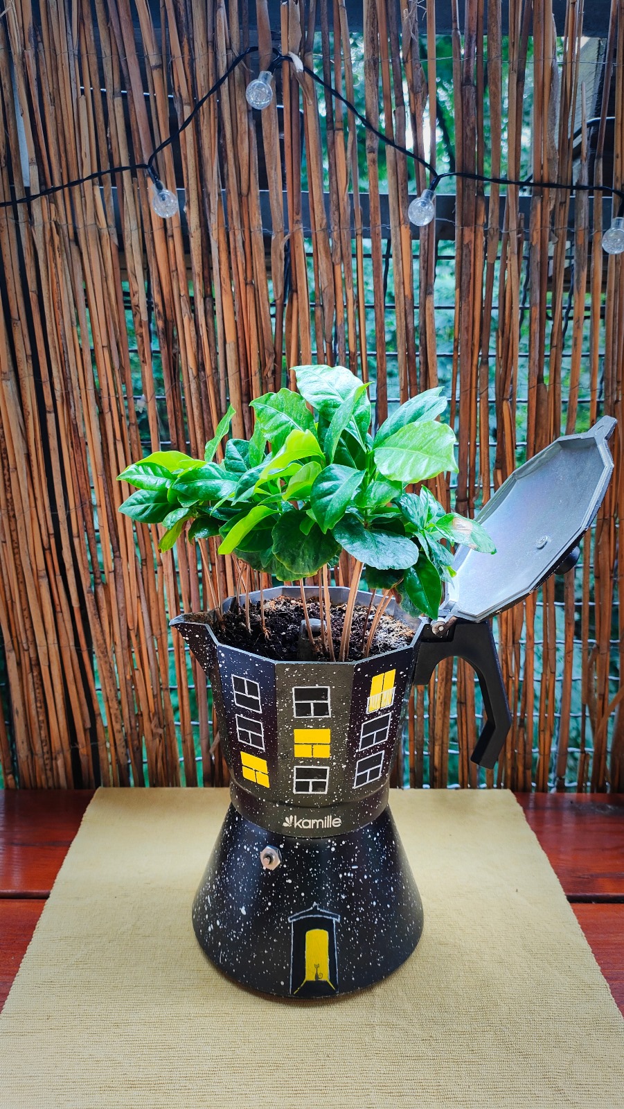 Rozstrzygnięcie zabawy „Najładniejsza Doniczka”