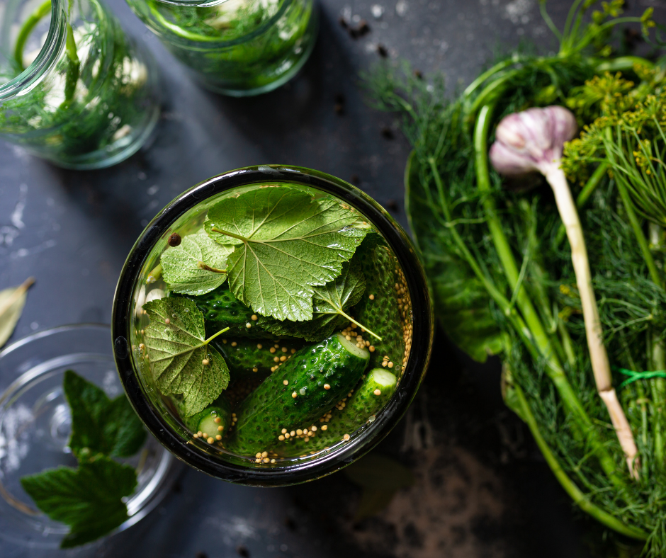 Podwórkowe wakacje wciąż trwają! W tę sobotę warsztaty kiszenia ogórków!