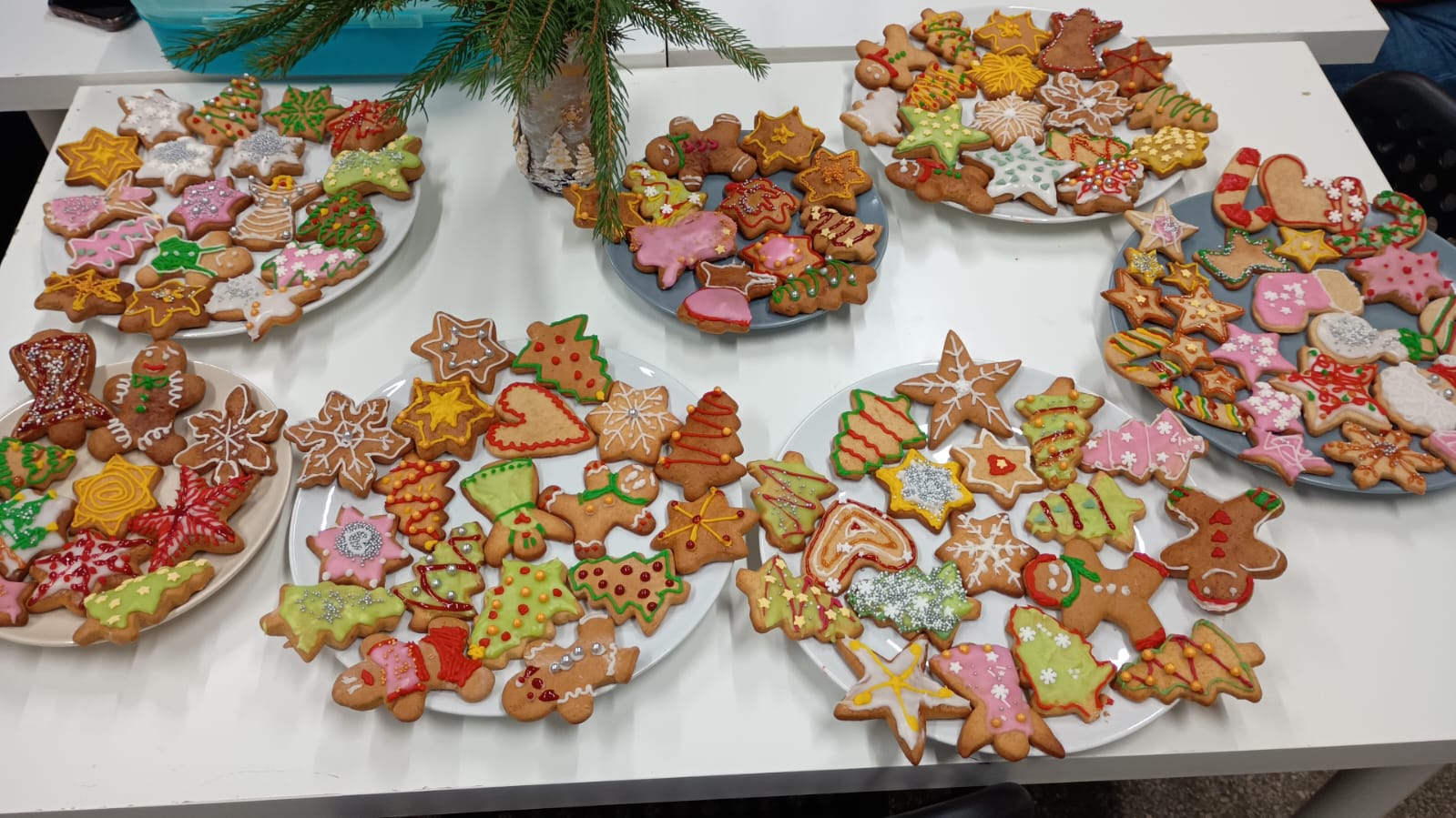 24-26 grudnia nasze lokalizacje w Krakowie i w Tychach będą nieczynne!